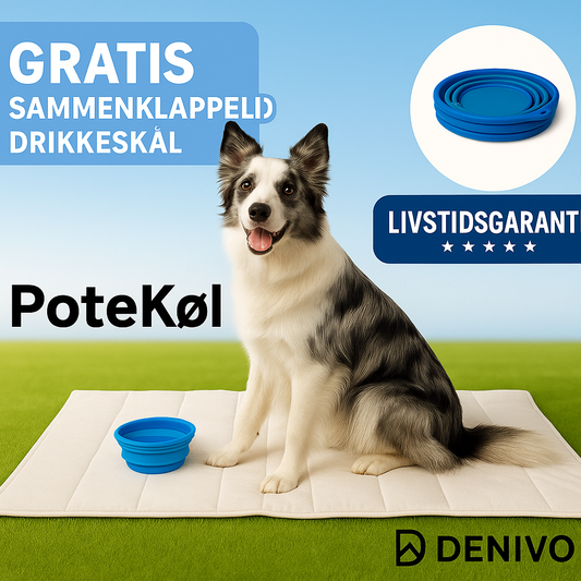 PoteKøl™ – Den Smarte Kølemåtte til Din Hund
