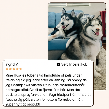 SilkePels™ Steami Pro - Professionel pels plejebørste til kæledyr